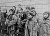 Clicca l'immagine per ingrandirla. 

Nome: Child_survivors_of_Auschwitz.jpg 
Visualizzazioni: 2876 
Dimensione: 21.5 KB 
ID: 3924