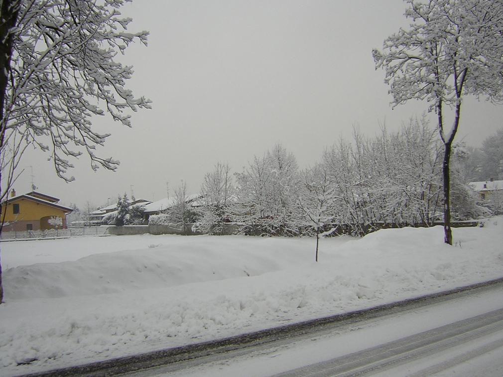 DSCN0324.jpg