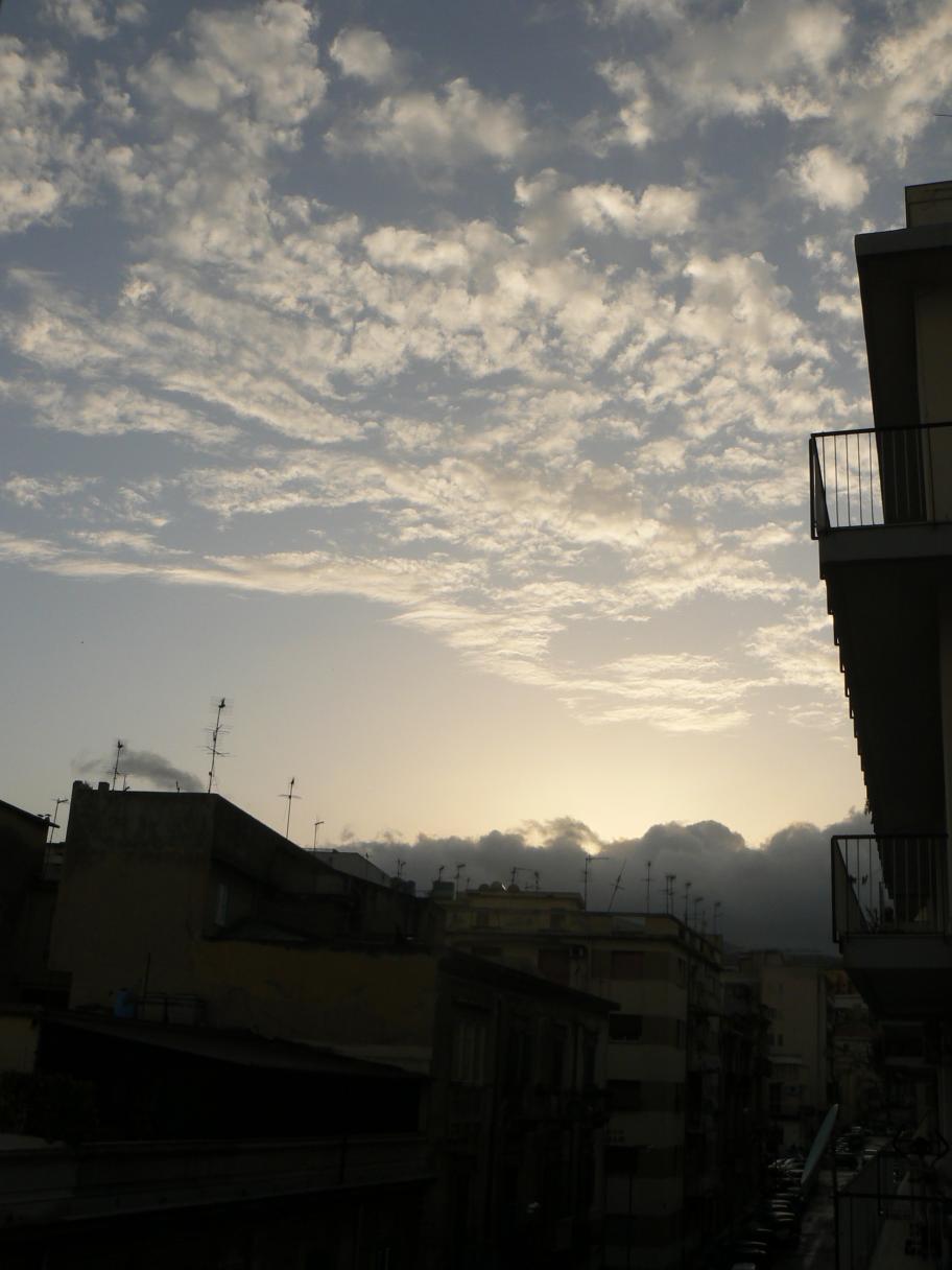 P1030182.jpg