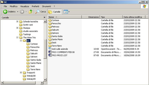 visualizzazione_win_explorer_small.jpg