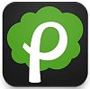 Petree-Mac-Peer.jpg